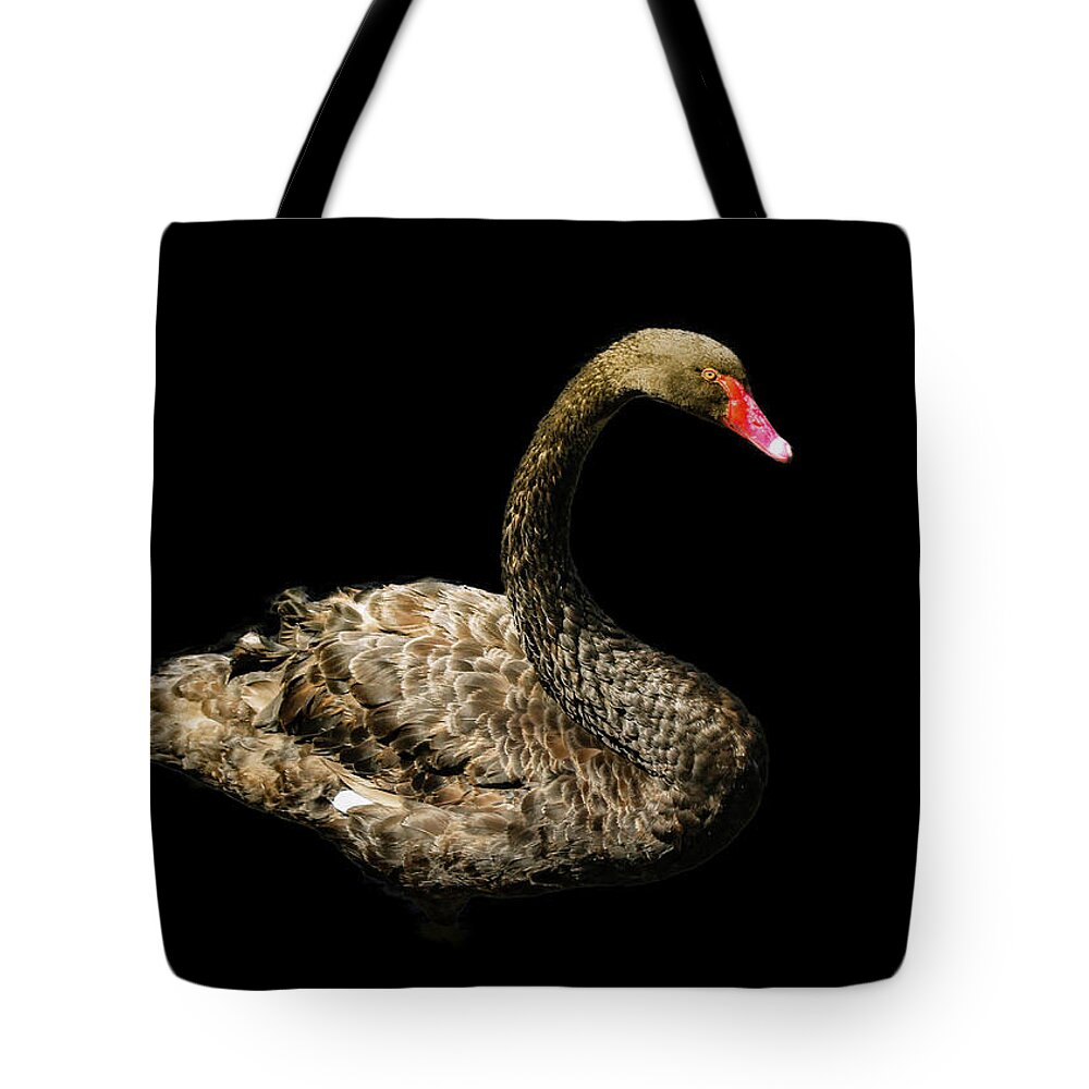 Swan Tote Bag featuring the photograph Black Swan on Black by Alison Frank