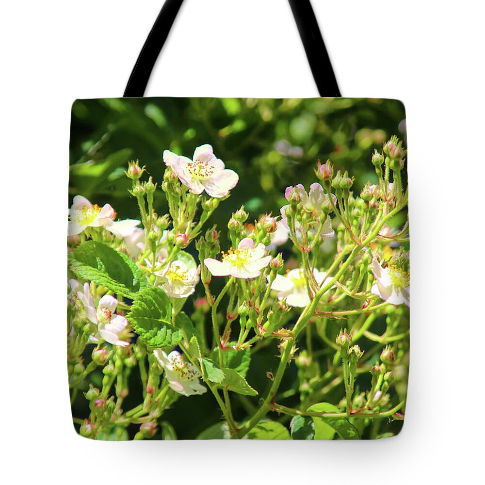 Blackberry Blossoms Tote Bag featuring the photograph Blackberry Blossoms and buds by Cathy Anderson