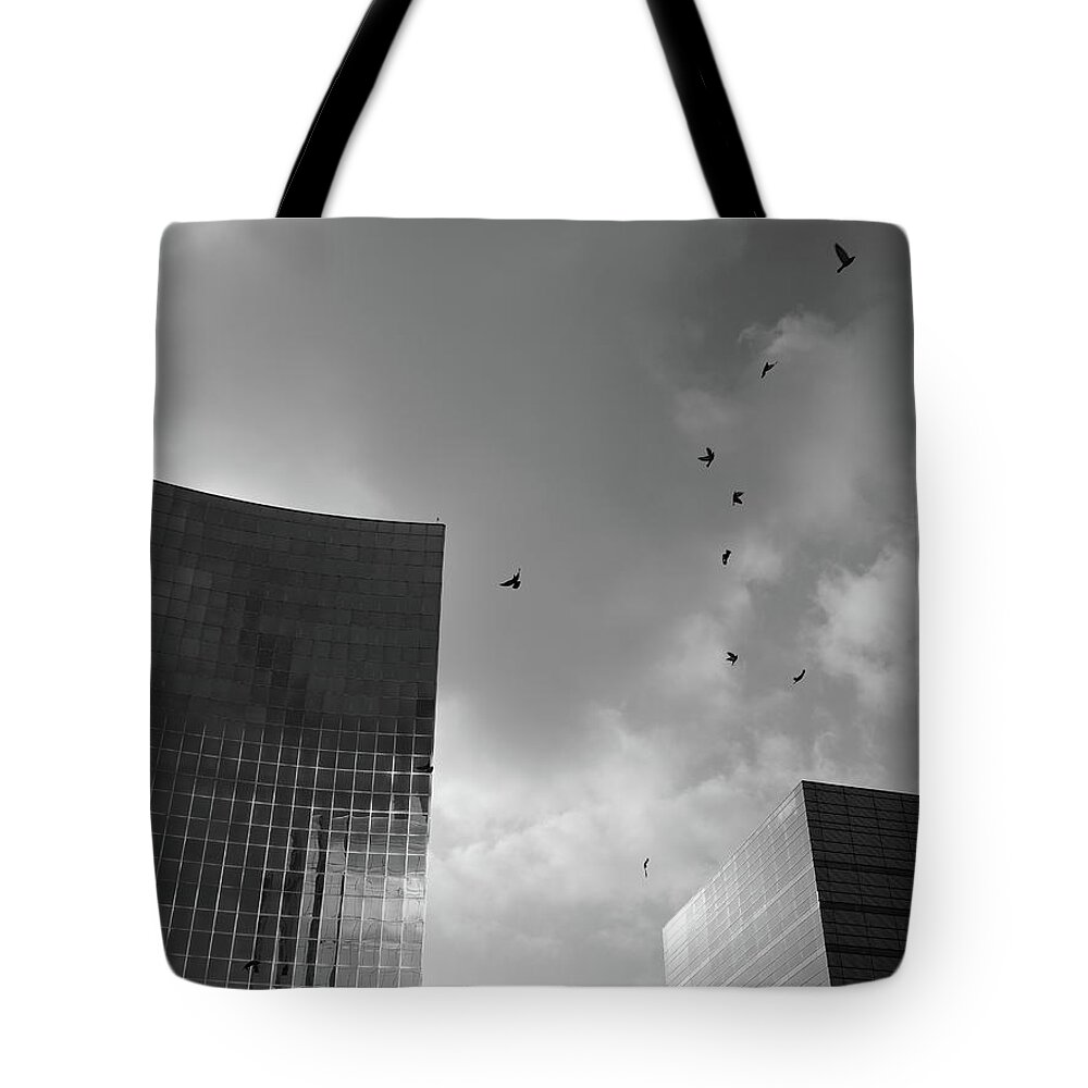 Black And White Tote Bag featuring the photograph Blocks And Birds by Kreddible Trout