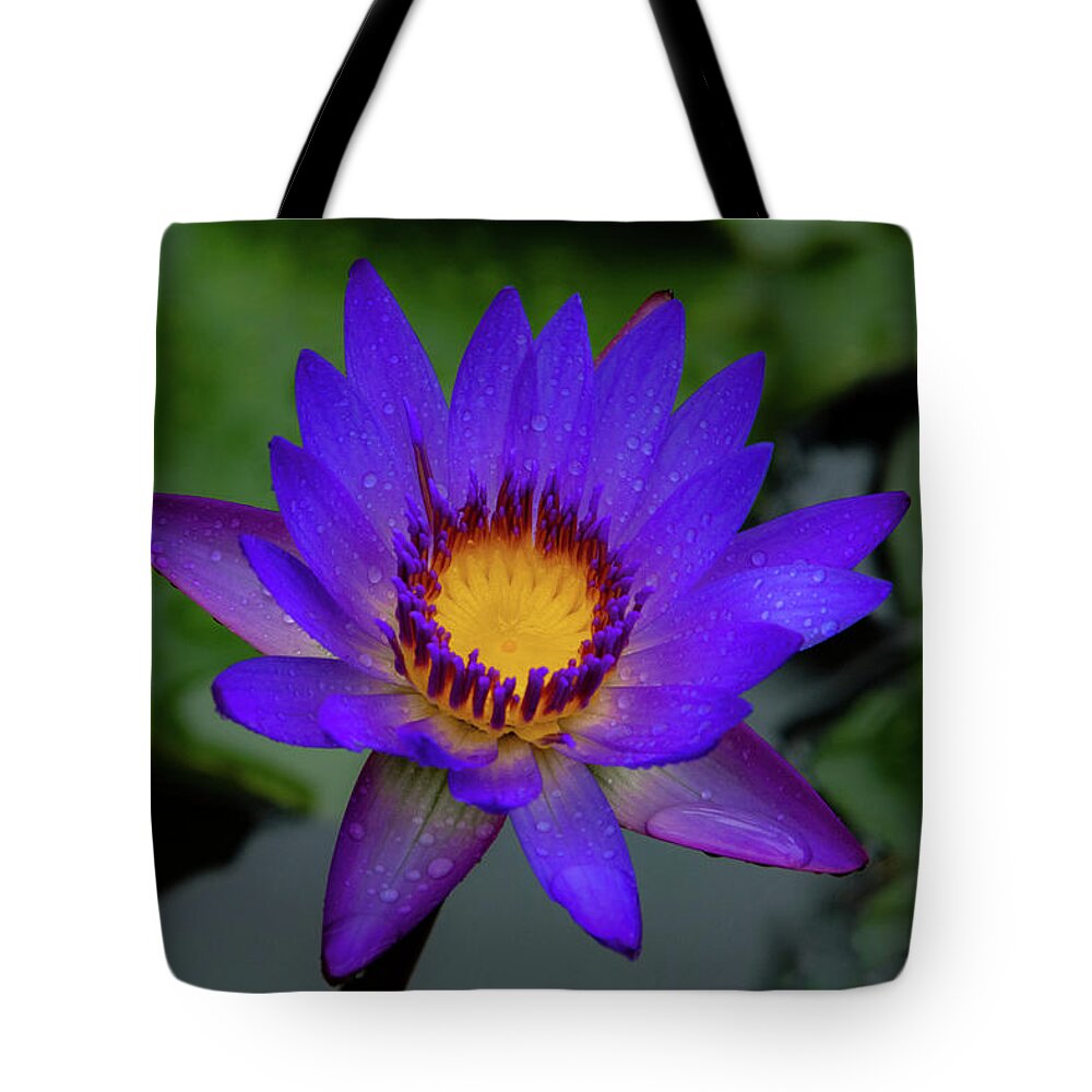 Hawaii Tote Bag featuring the photograph Blooming Lilly by G Lamar Yancy