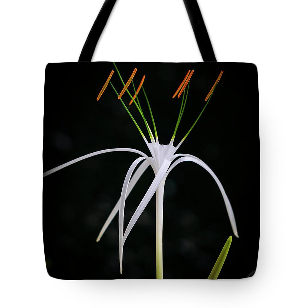 Flowers Tote Bag featuring the photograph Blooming Poetry 3 by Silvia Marcoschamer