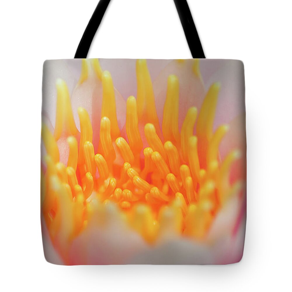 White Water Lily Tote Bag featuring the photograph Blooming Virgins by Az Jackson