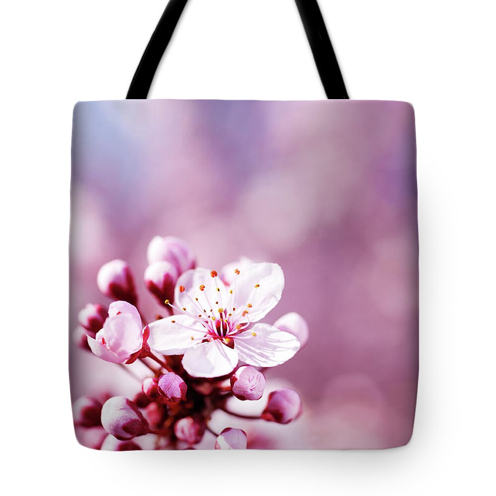 Scenics Tote Bag featuring the photograph Blossom by Cactusoup