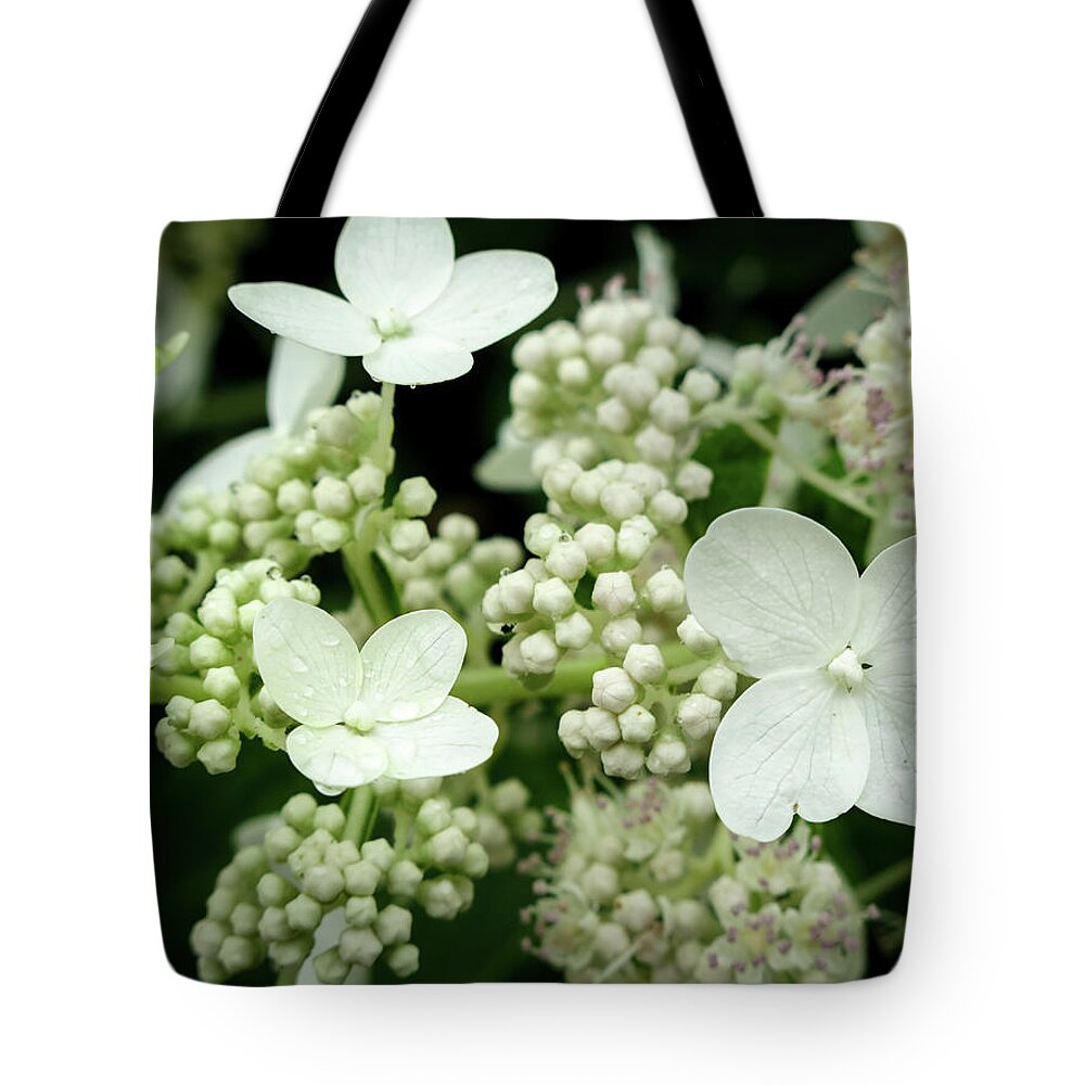 Flowers Tote Bag featuring the photograph Blossom Family by David Coblitz