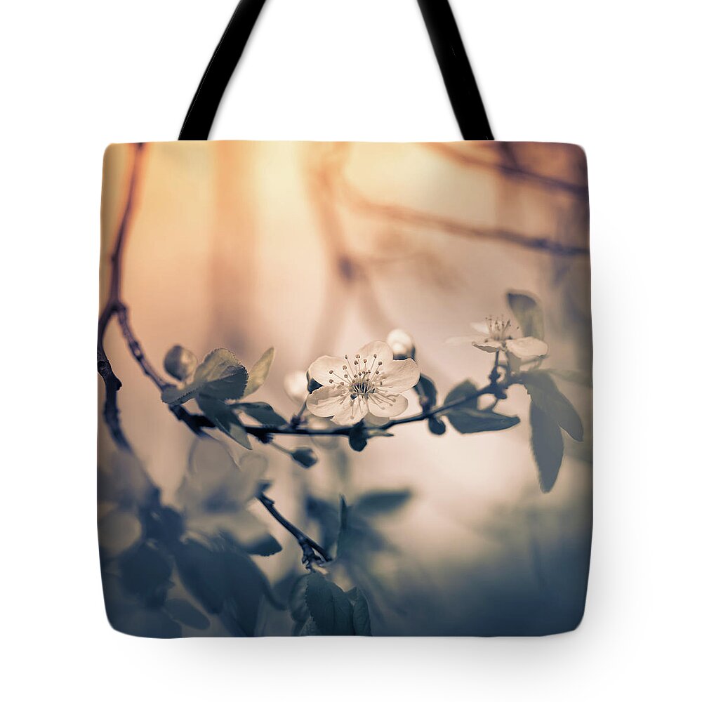 Purple Tote Bag featuring the photograph Blossom by Jeja