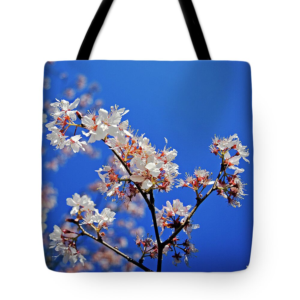 Clear Sky Tote Bag featuring the photograph Blossoms Against Blue Sky by Kees Smans