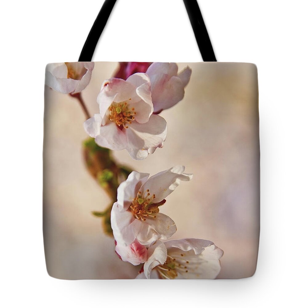 Toronto Tote Bag featuring the photograph Blossoms by Greg David