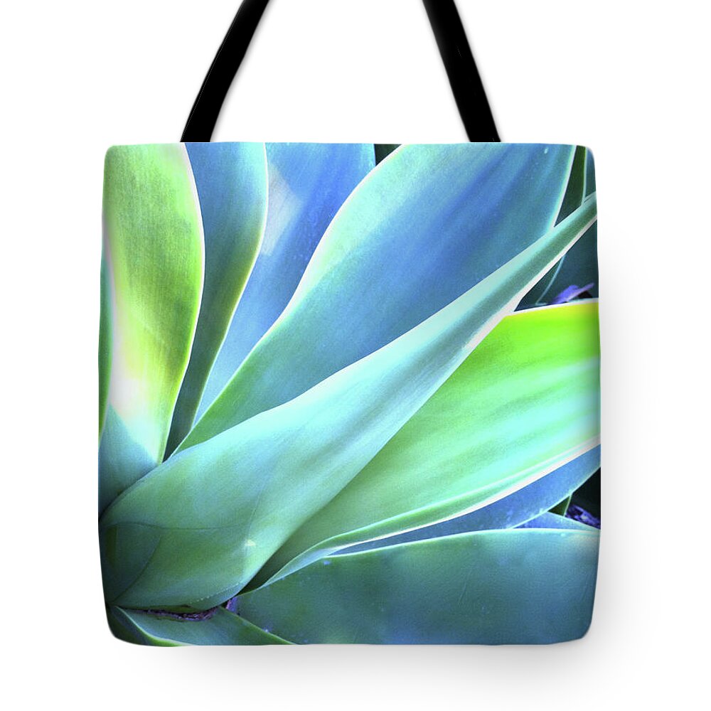 Agave Tote Bag featuring the photograph Blue Agave by Denise Taylor
