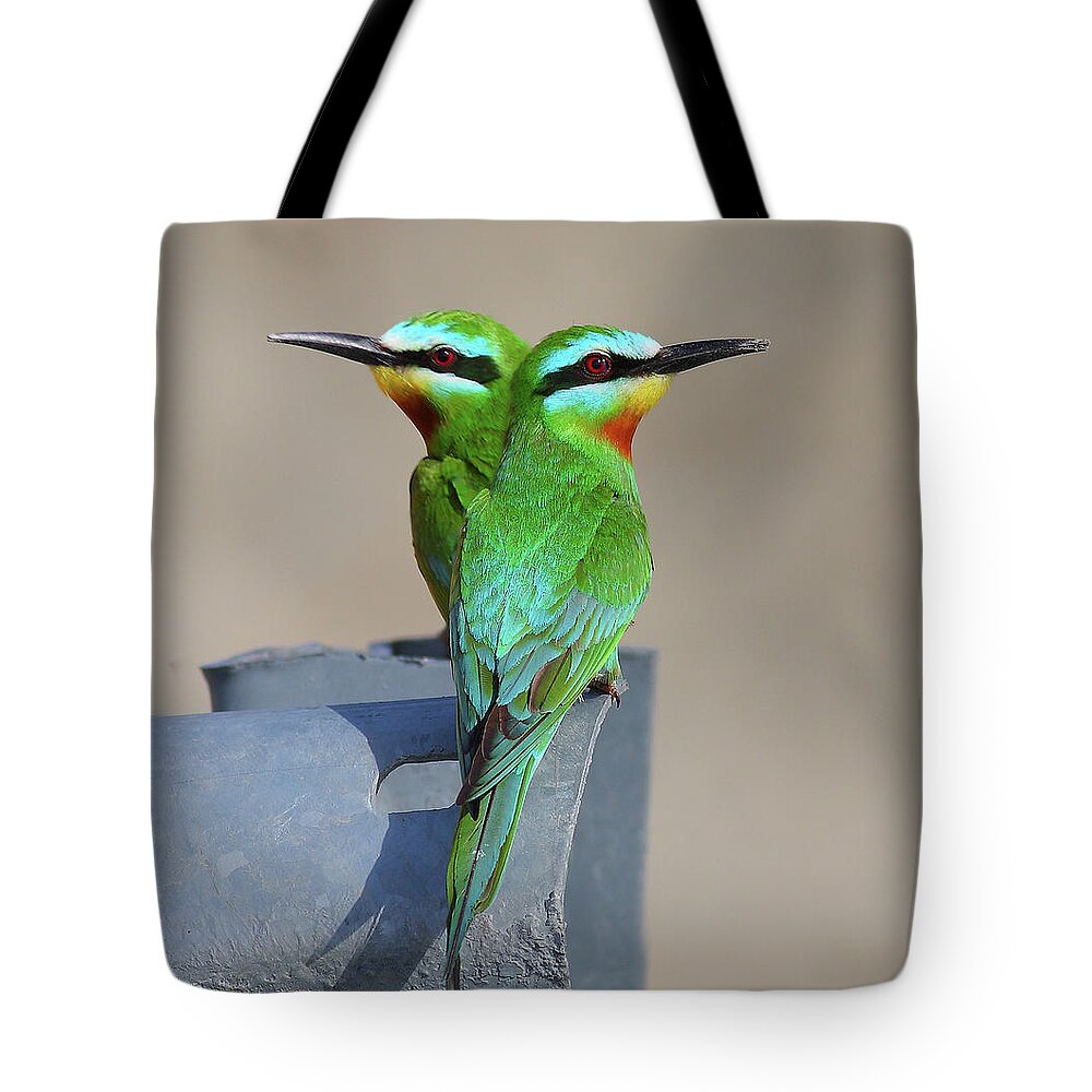 Blue Cheeked Bee-eater Tote Bag featuring the photograph Blue-cheeked Bee-eater by Zahoor Salmi