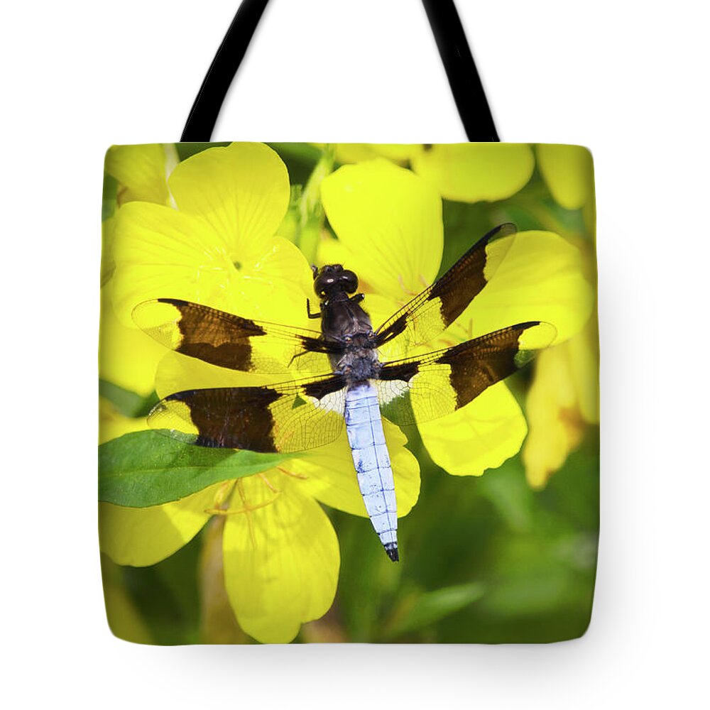 Dragonfly Tote Bag featuring the photograph Blue Dragonfly by Christina Rollo