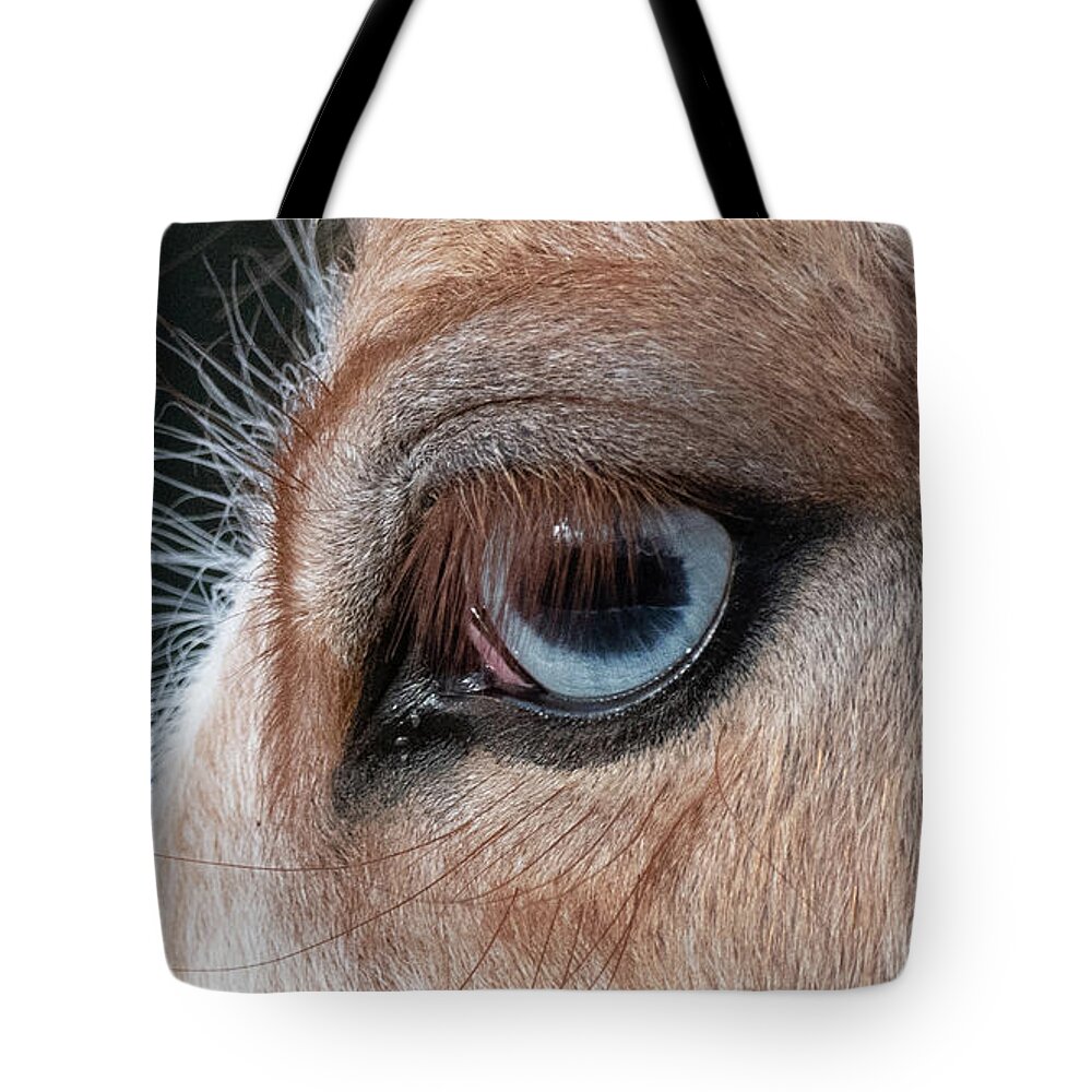 Cute Tote Bag featuring the photograph Blue Eye 2 by Shannon Hastings