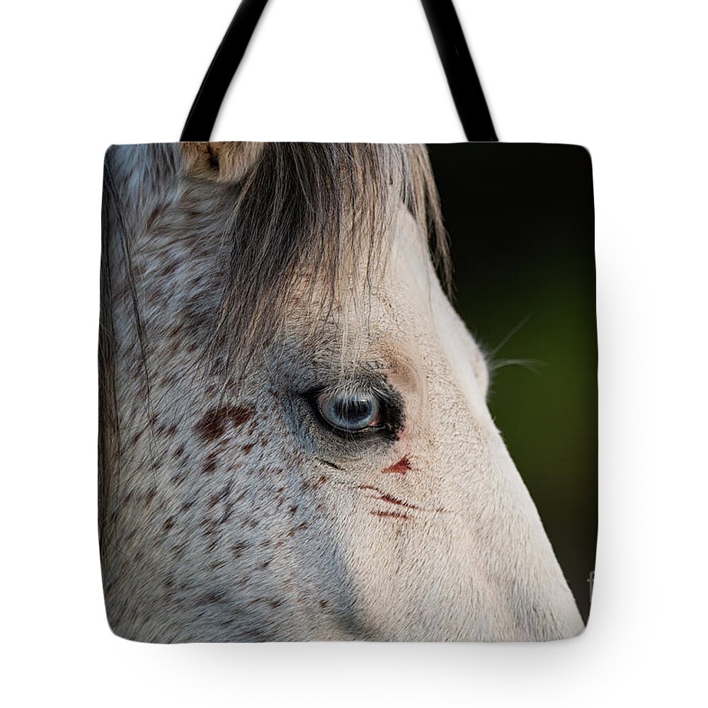 Eyes Tote Bag featuring the photograph Blue Eye by Shannon Hastings
