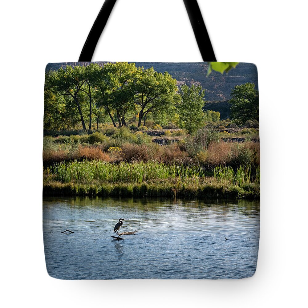 Ardeidae Tote Bag featuring the photograph Blue Heron at Sunrise San Juan River New Mexico by Mary Lee Dereske