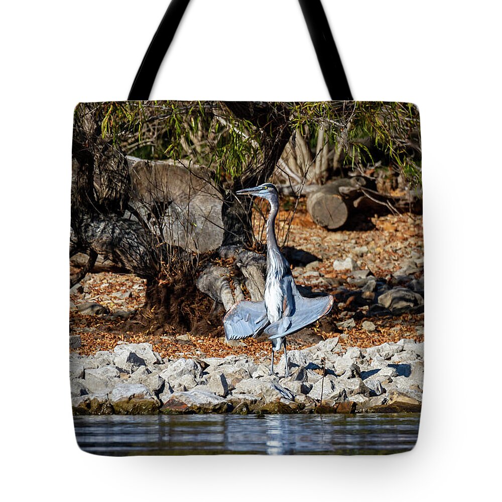 Blue Heron Tote Bag featuring the photograph Blue Heron Sunning by David Wagenblatt