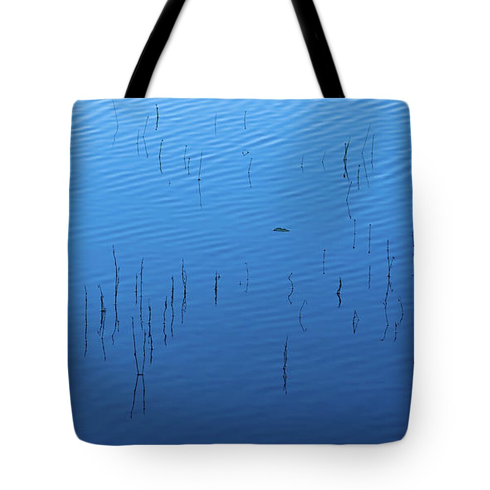 Reed Tote Bag featuring the photograph Blue Hour Reeds on a Pond by William Dickman