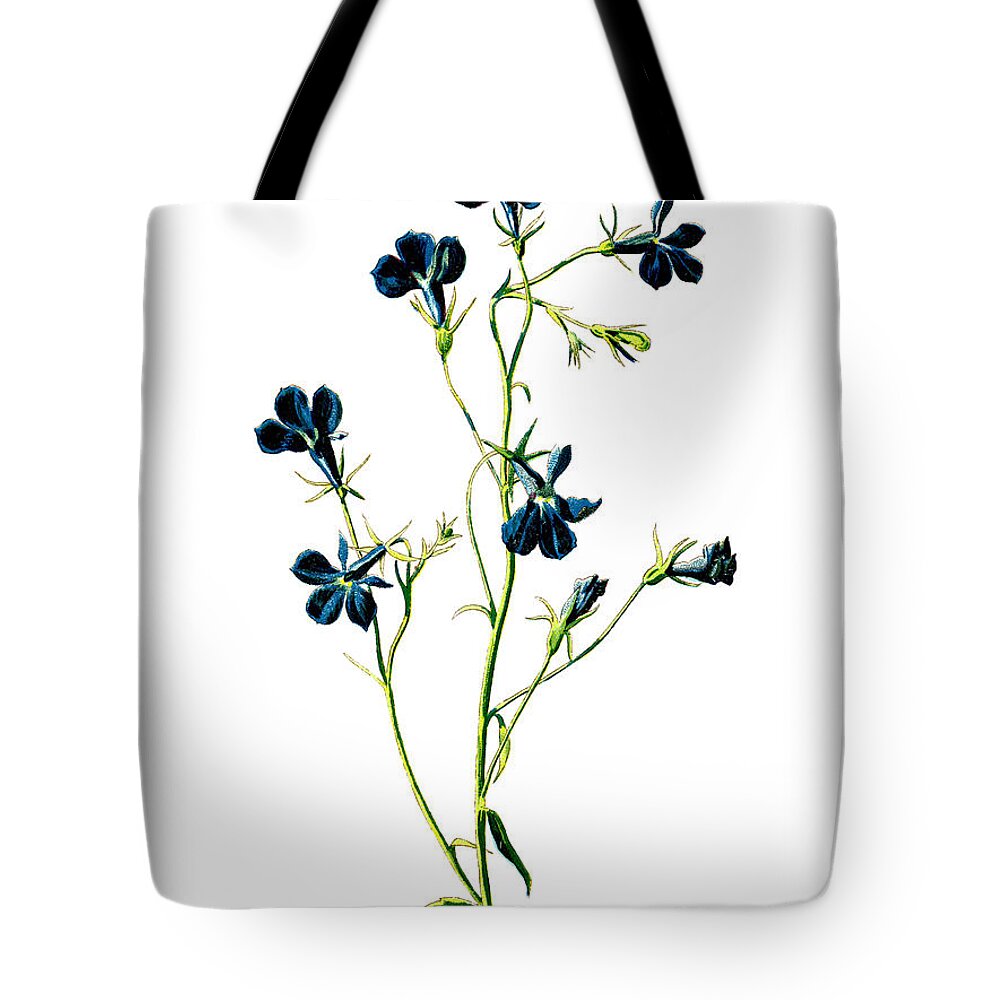 Flower Tote Bag featuring the mixed media Blue Lobelia Flower by Naxart Studio