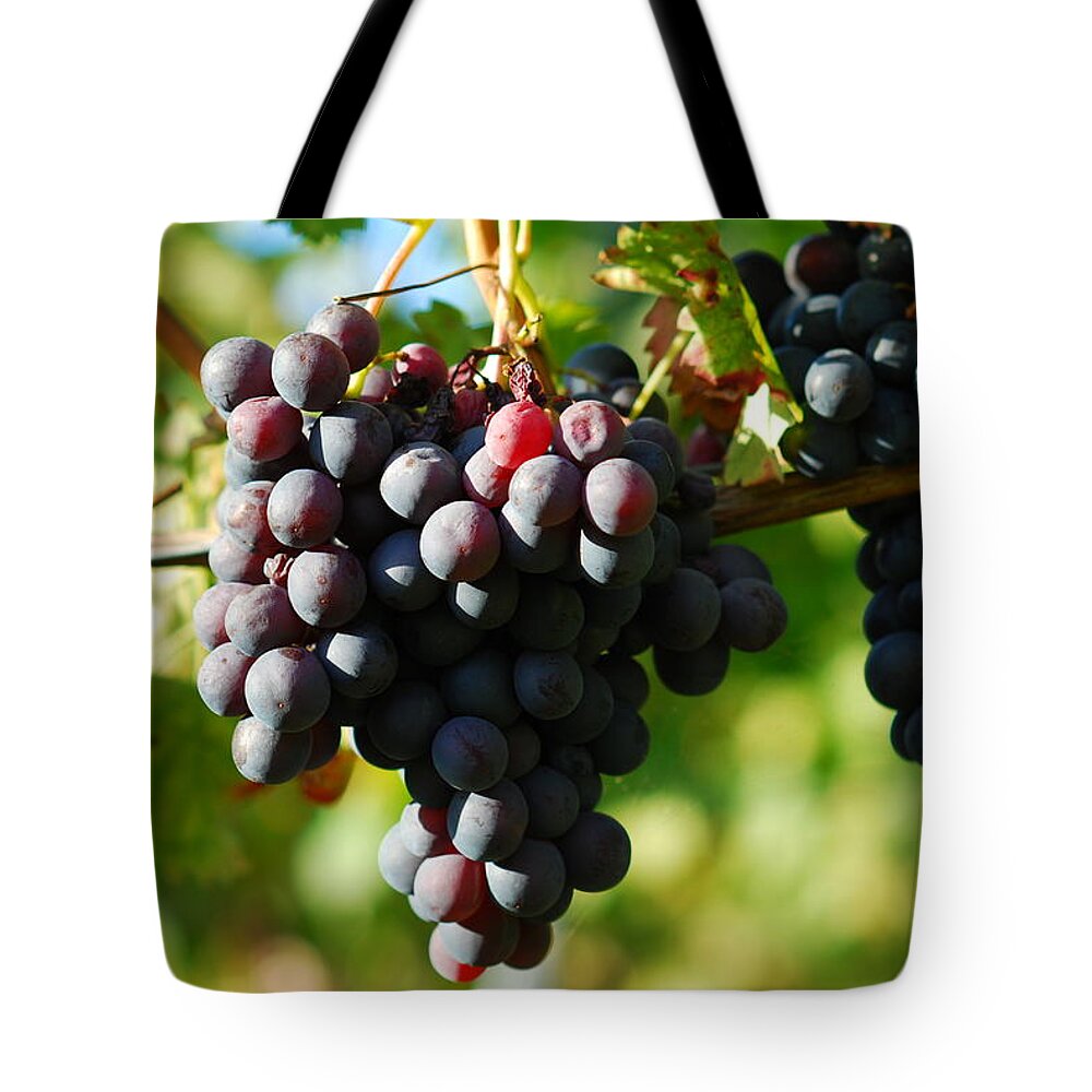 Hanging Tote Bag featuring the photograph Blue Wine Berries by Farbenrausch