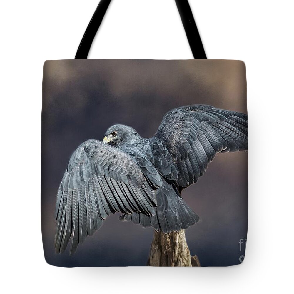 Black-chested Buzzard-eagle Tote Bag featuring the mixed media Blue Wings by Eva Lechner