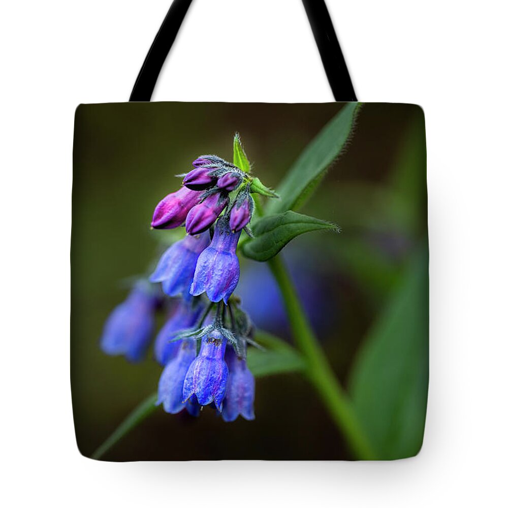 Wildflower Tote Bag featuring the photograph Bluebells 2019 by Fred Denner