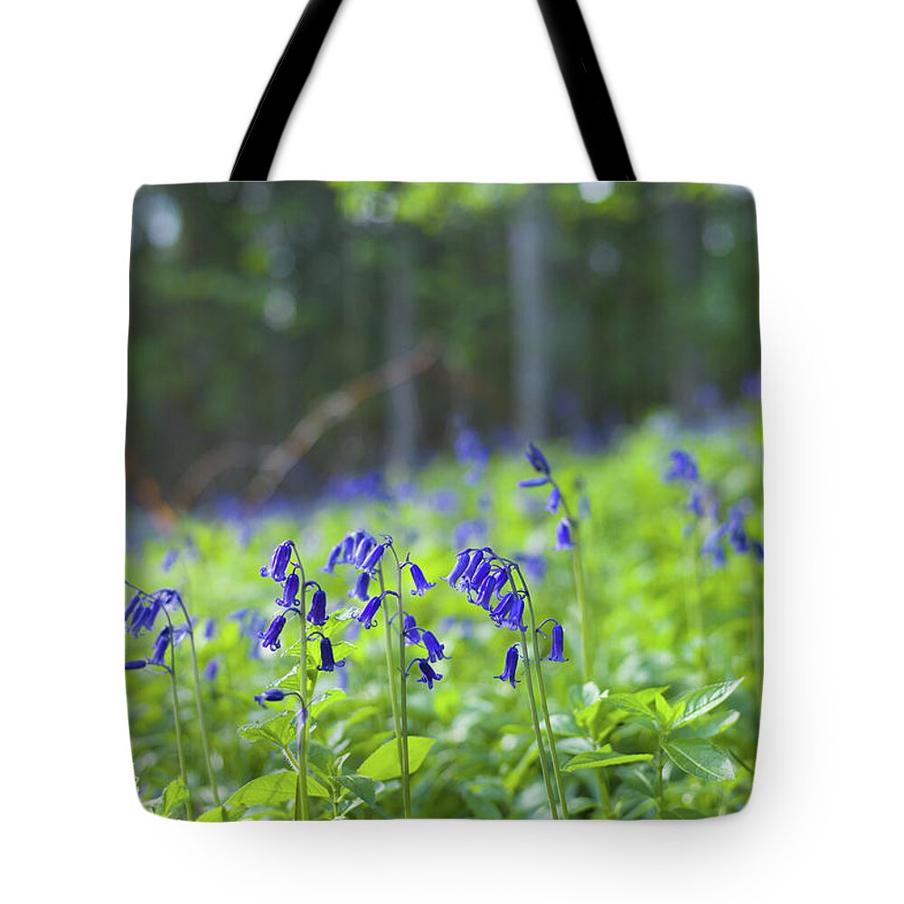 Scenics Tote Bag featuring the photograph Bluebells In Woodland In The Cotswolds by Tim Graham