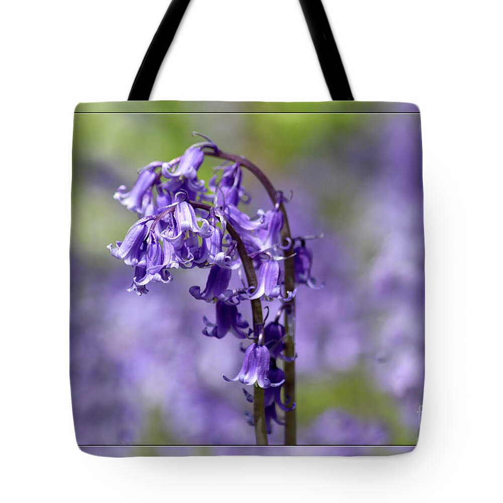 Bluebells Tote Bag featuring the photograph Bluebells by Lynn Bolt