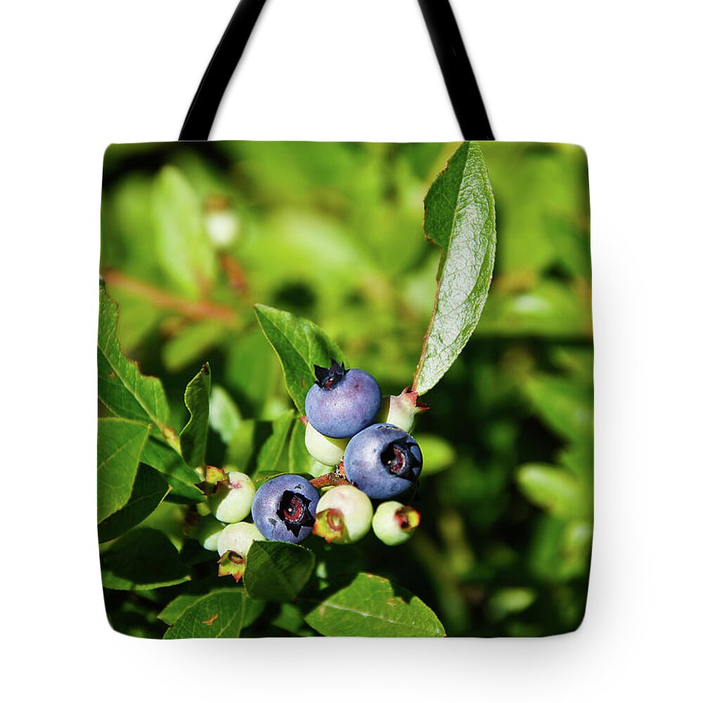 Peaked Mountain Tote Bag featuring the photograph Blueberries by Rockybranch Dreams