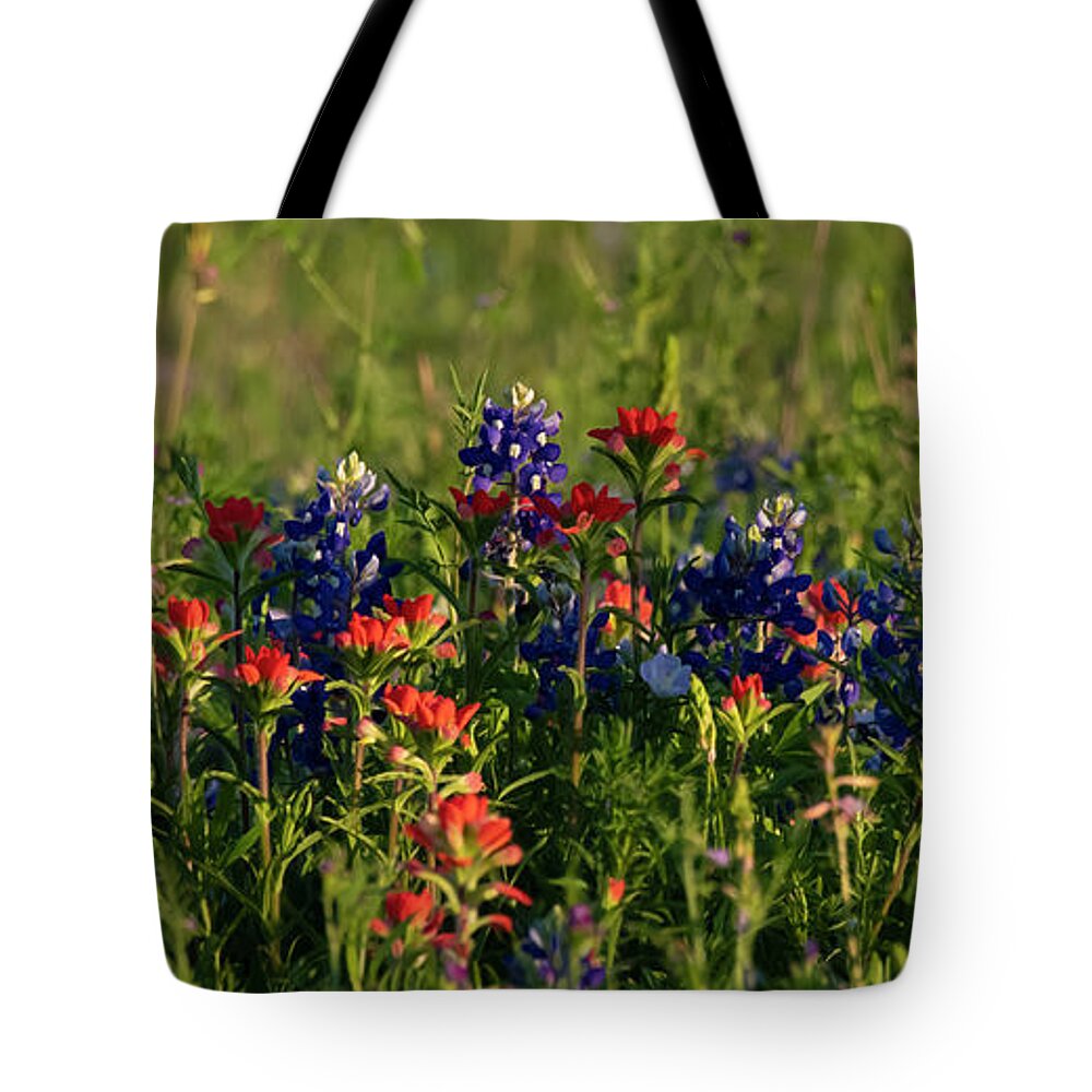 Blue Tote Bag featuring the photograph Bluebonnets and Indian Paintbrush by Patrick Nowotny