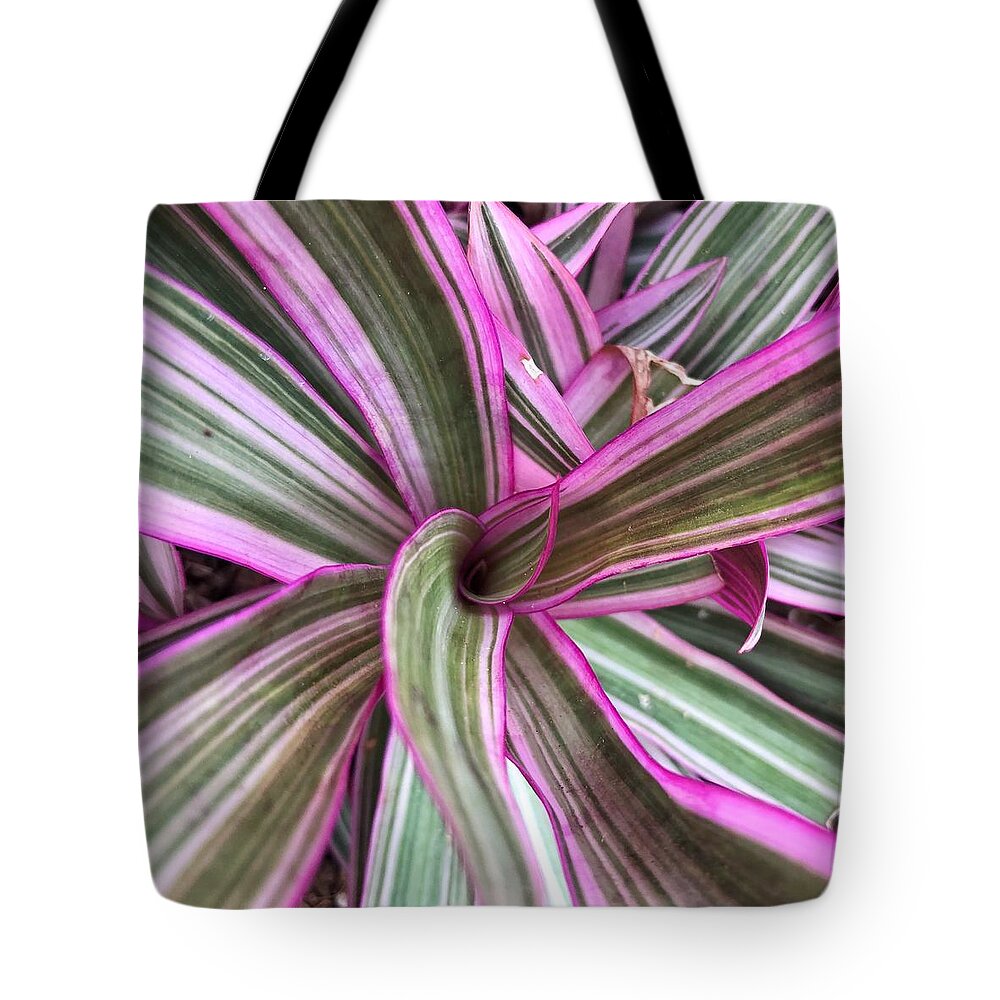 Boat Lily Tote Bag featuring the photograph Boat Lily by Jori Reijonen