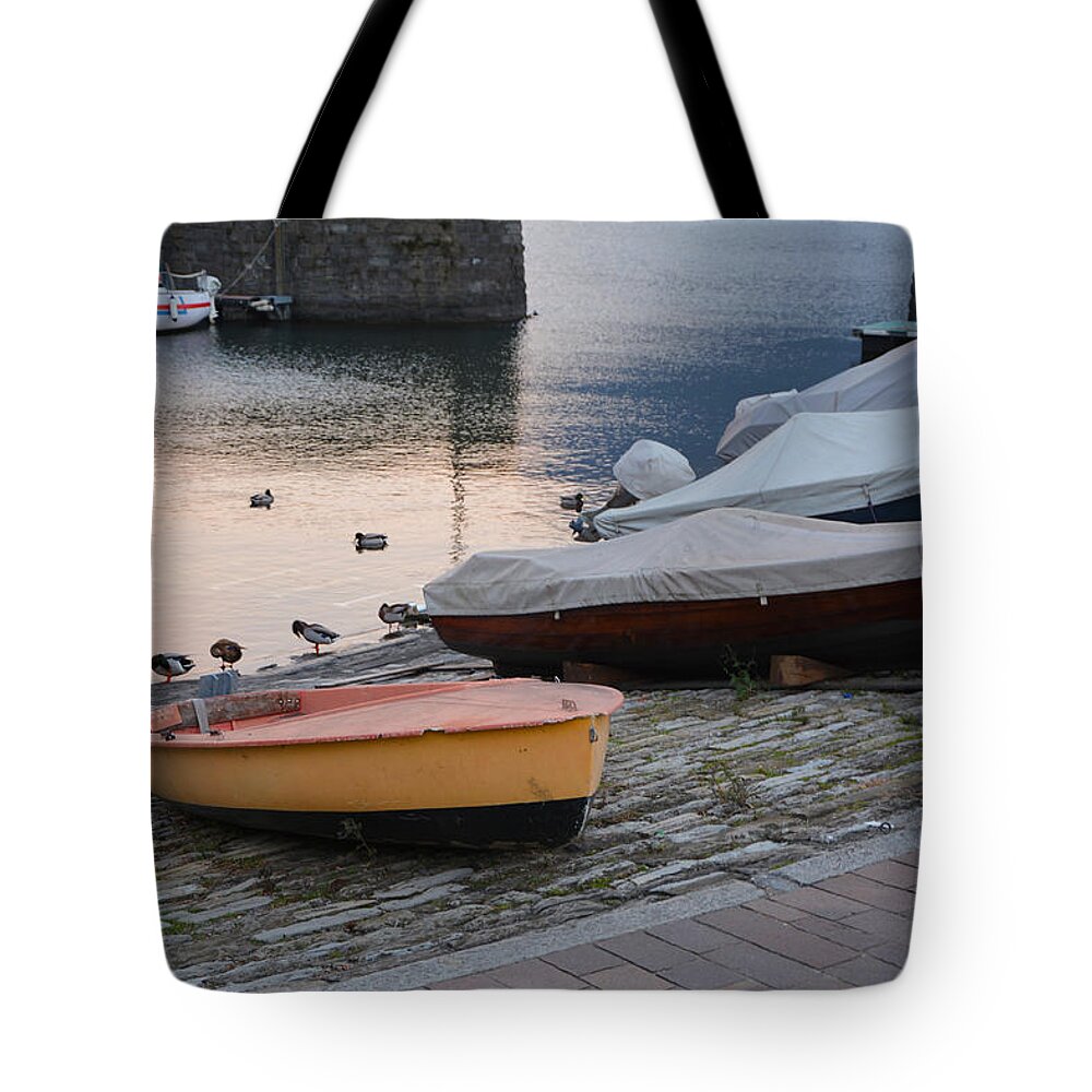 Argegno Tote Bag featuring the photograph Boats and Ducks by Fabio Caironi