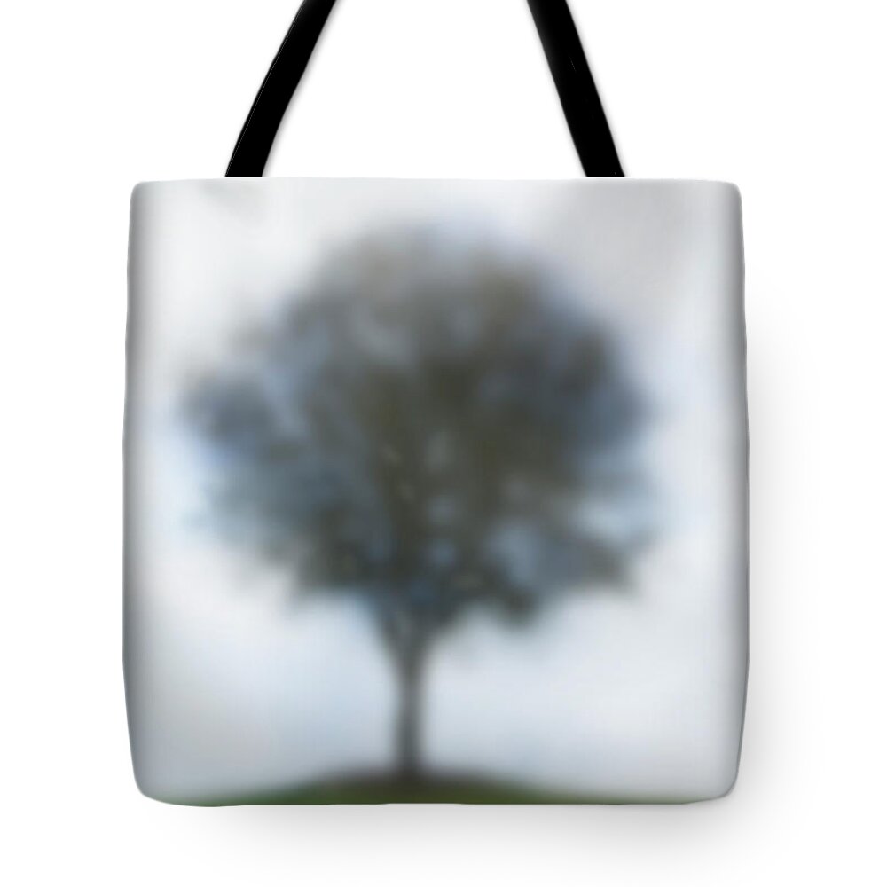 Tranquility Tote Bag featuring the photograph Boca Raton Florida, Tree by Marie Hickman