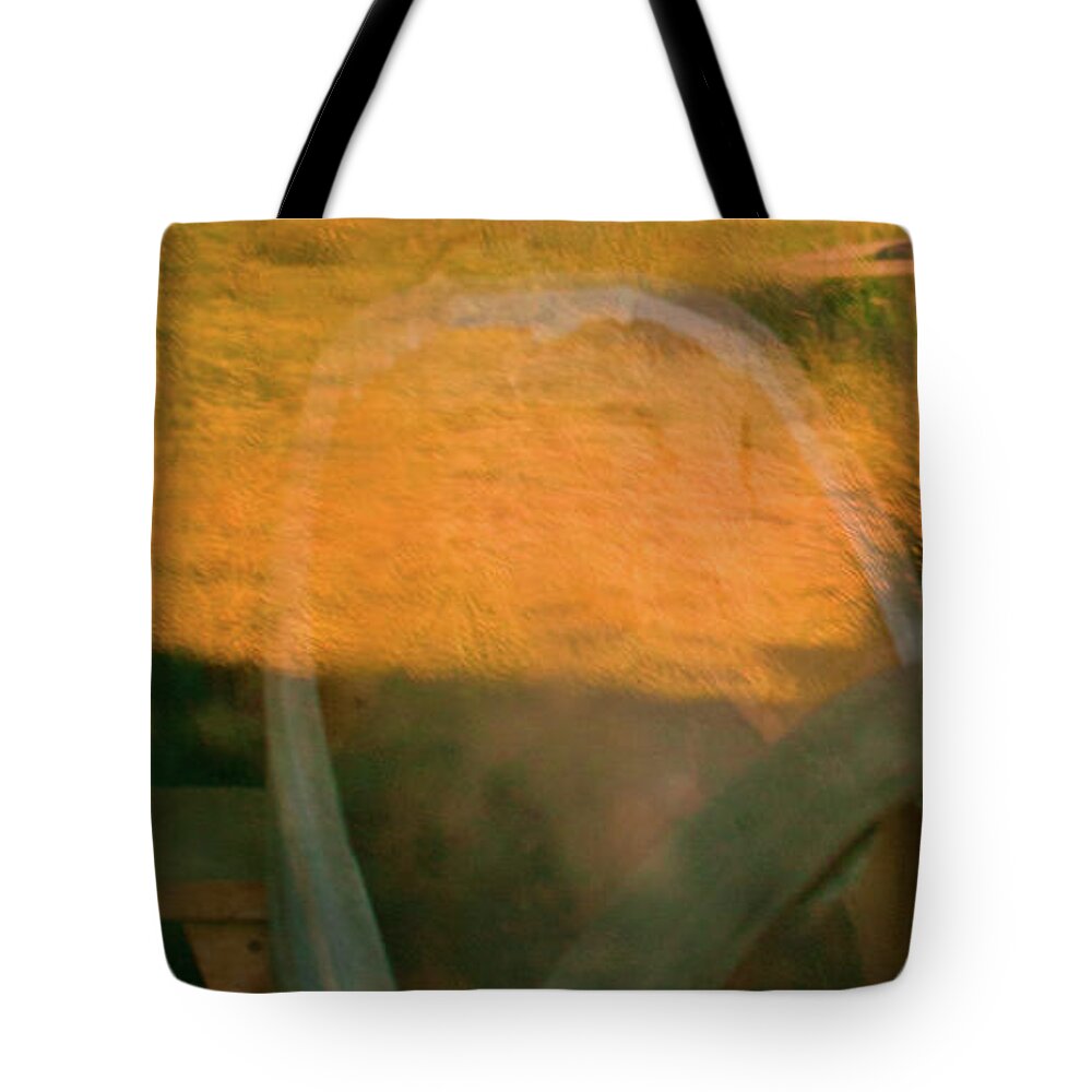 Reflections Tote Bag featuring the photograph Bodie 4 by Catherine Sobredo