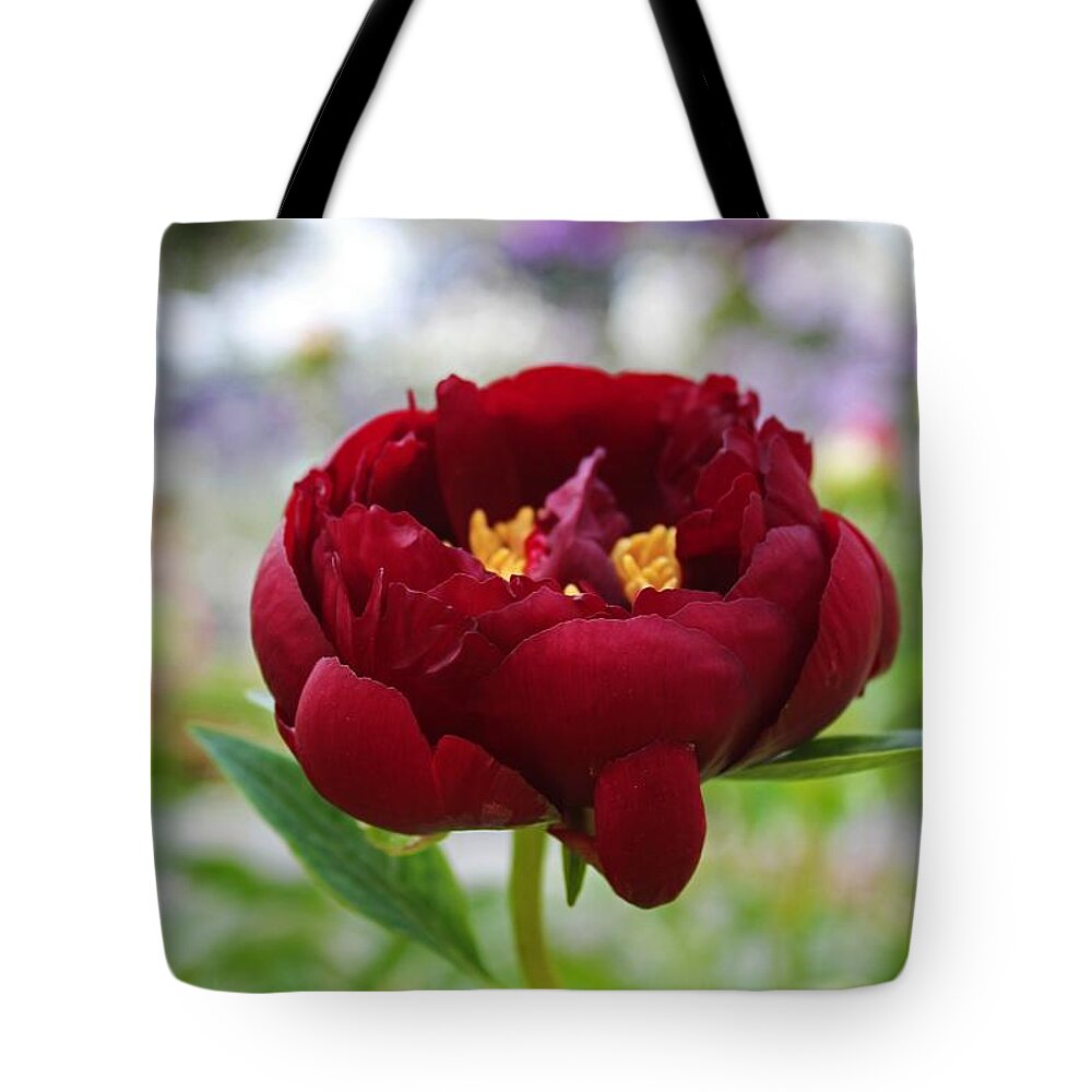 Peony Tote Bag featuring the photograph Bold Garnet by Michiale Schneider