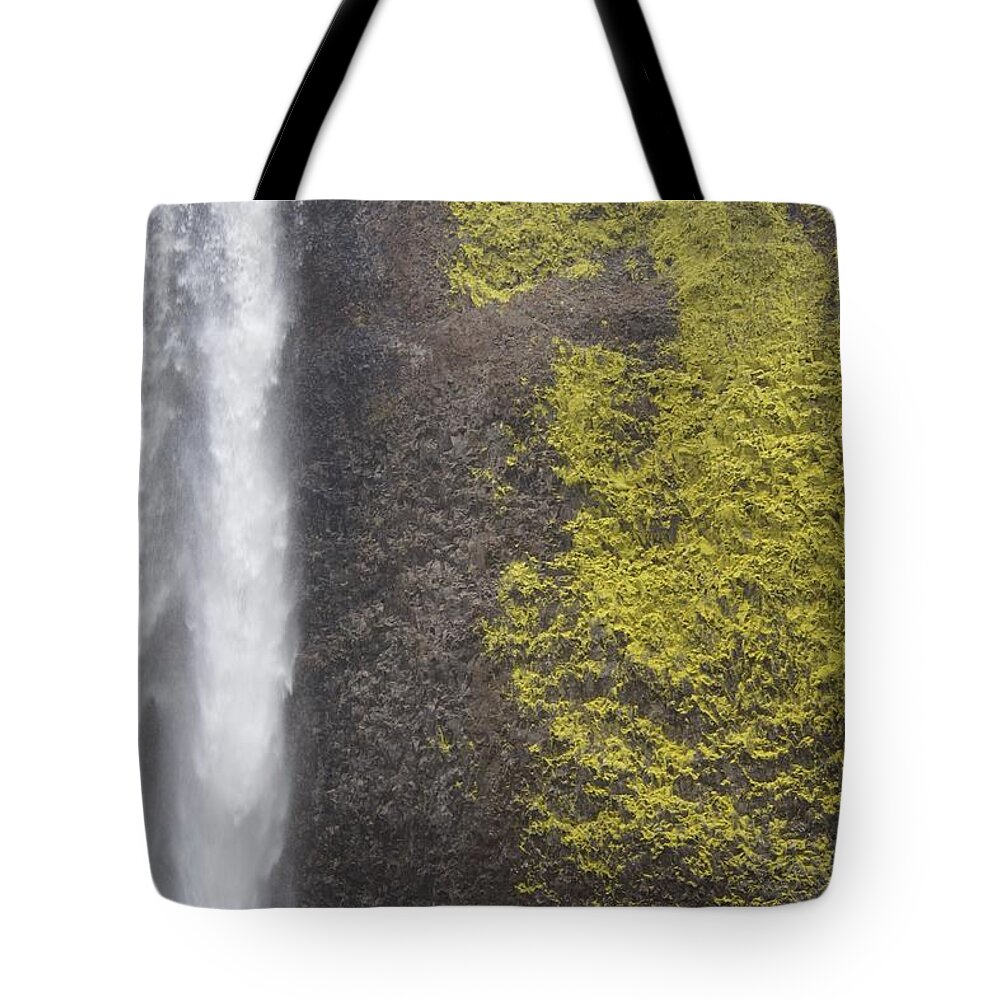 Bold Latourell Tote Bag featuring the photograph Bold Latourell by Dylan Punke