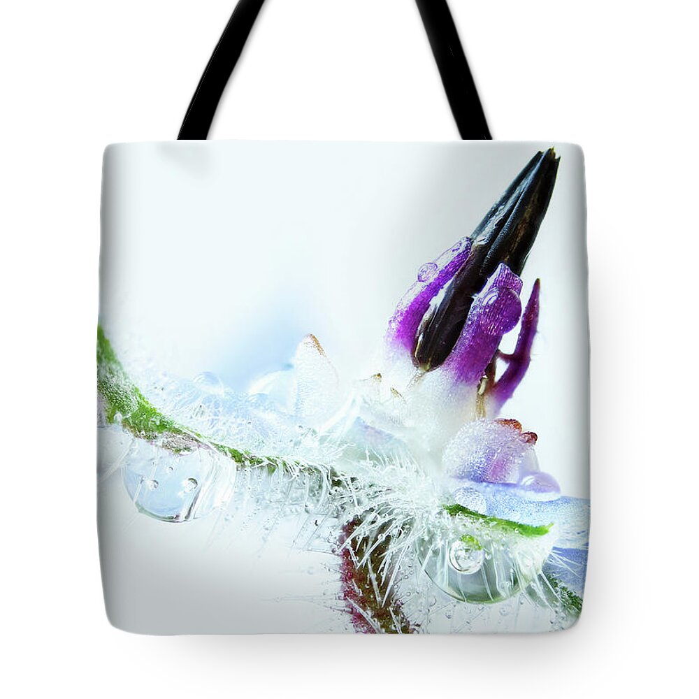 Borage Tote Bag featuring the photograph Borage by Copyright Oneliapg Photography