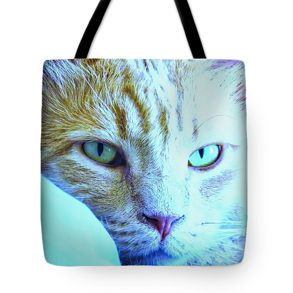 American Shorthair Tote Bag featuring the photograph Pretty Sides by Judy Kennedy