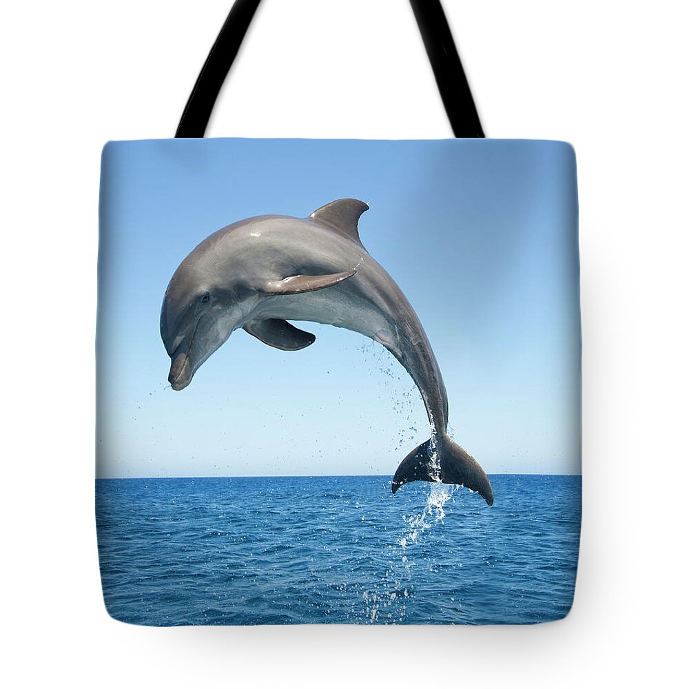 Animal Themes Tote Bag featuring the photograph Bottle Nosed Dolphin Jumping by Mike Hill