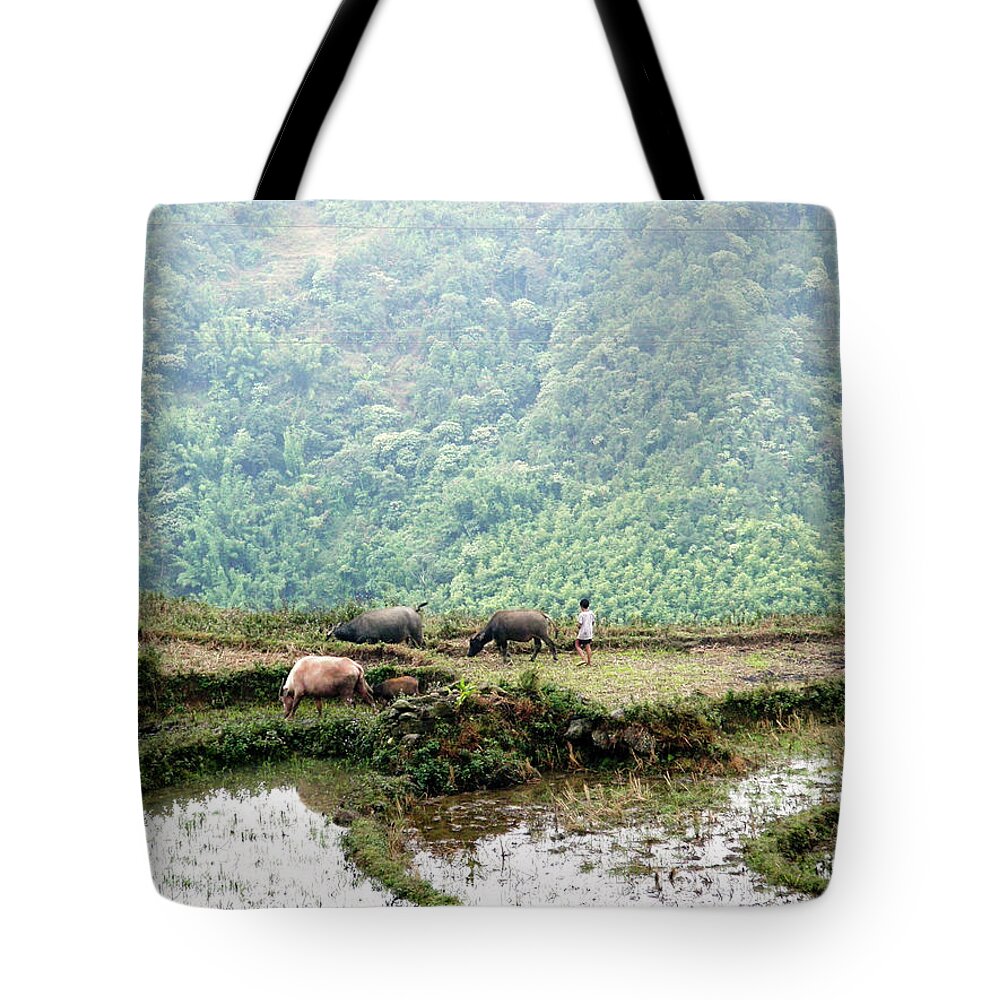 Child Tote Bag featuring the photograph Boy Herder In Sapa, Vietnam by Jaimie Ho