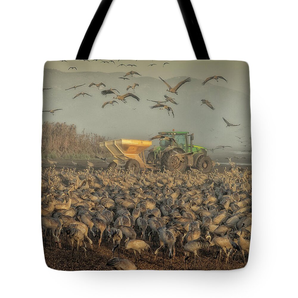 Cranes Tote Bag featuring the photograph Breakfast time by Uri Baruch