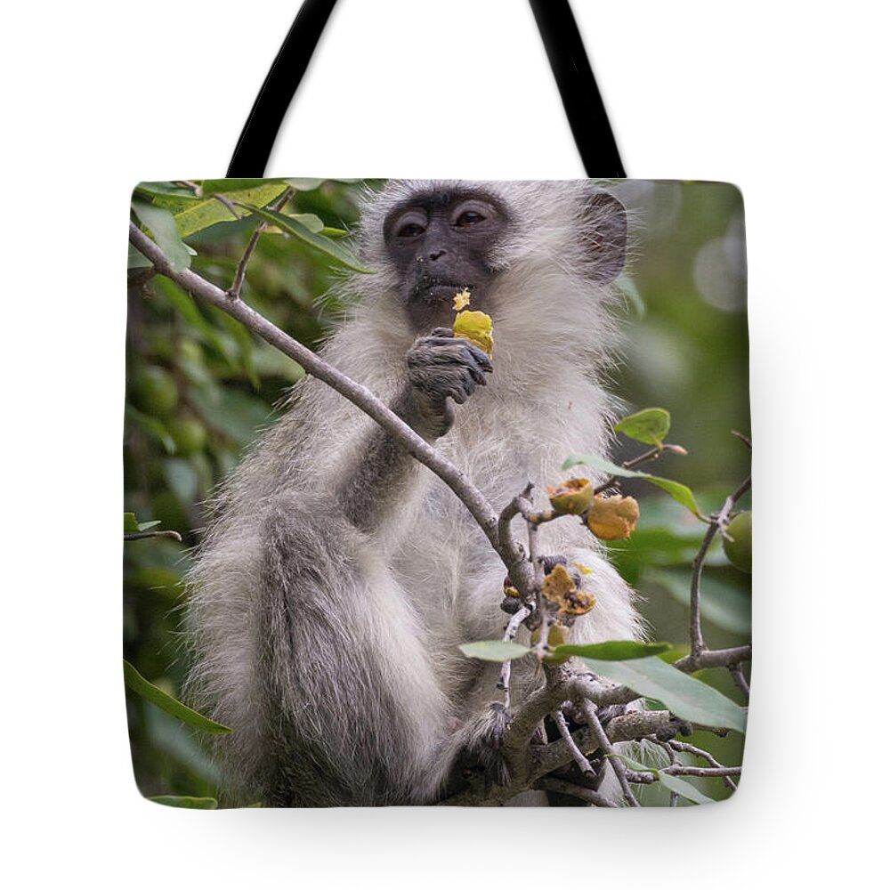 Monkey Tote Bag featuring the photograph Breakfasting Monkey by Mark Hunter