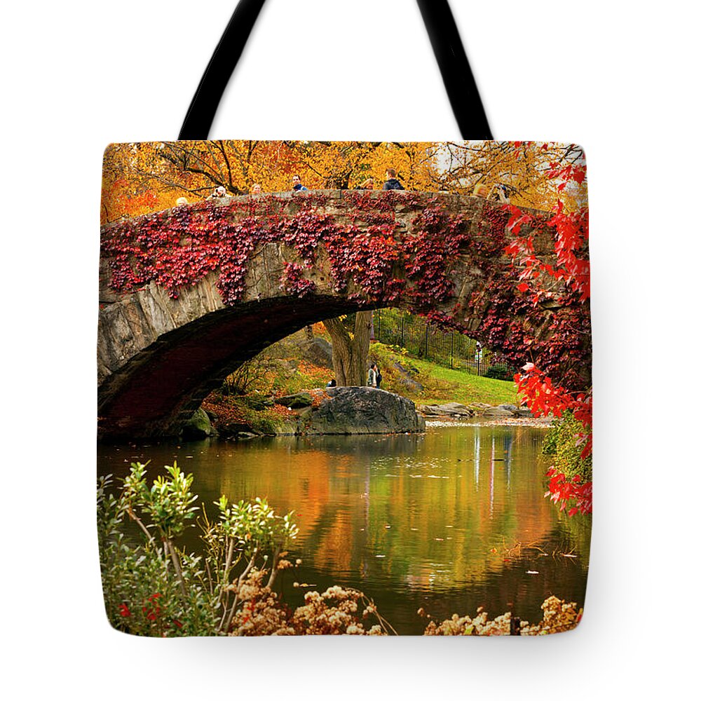 Estock Tote Bag featuring the digital art Bridge & Pond, Central Park, Nyc by Claudia Uripos