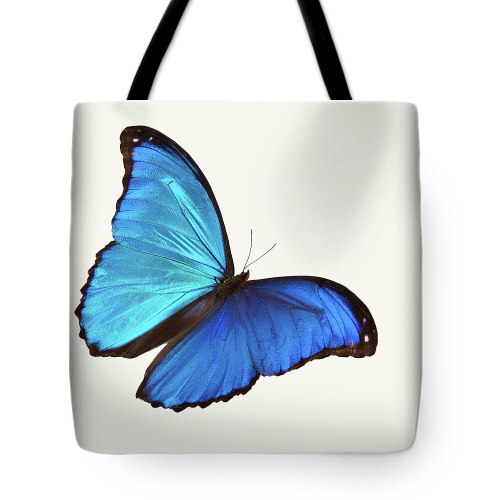 Butterfly Bag Small Natural — AKETEKETE