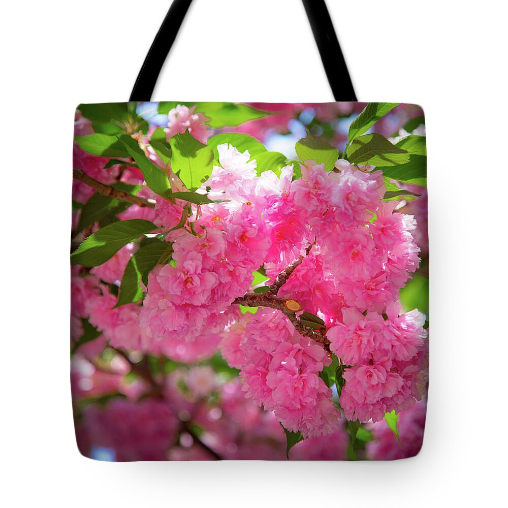 Flowers Tote Bag featuring the photograph Bright Pink Blossoms by Lora J Wilson