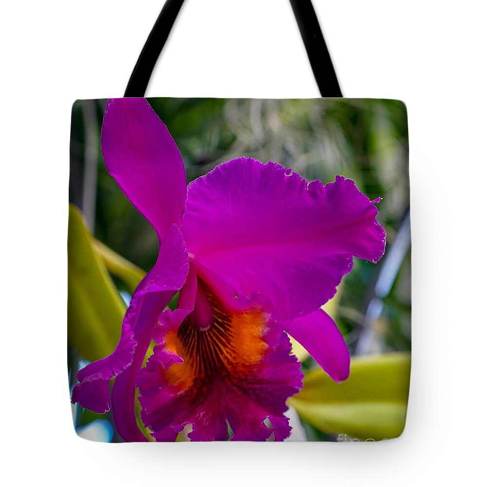 Orchid Tote Bag featuring the photograph Brilliant Orchid by Susan Rydberg