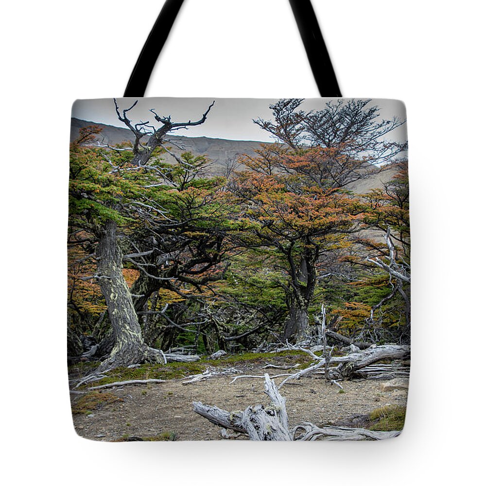Lenga Tote Bag featuring the photograph Broken Forest by Mark Hunter