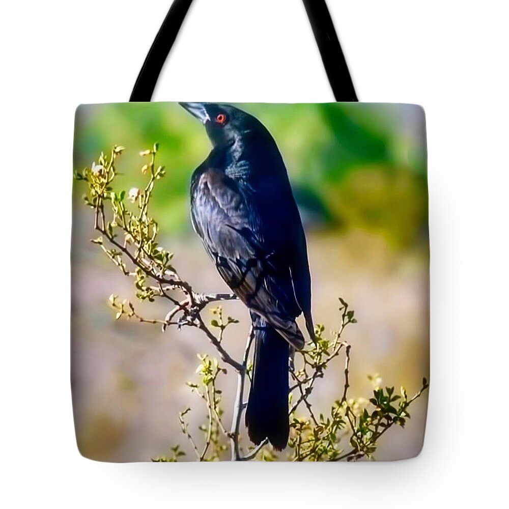 Arizona Tote Bag featuring the photograph Bronzed Cowbird on Creosote by Judy Kennedy