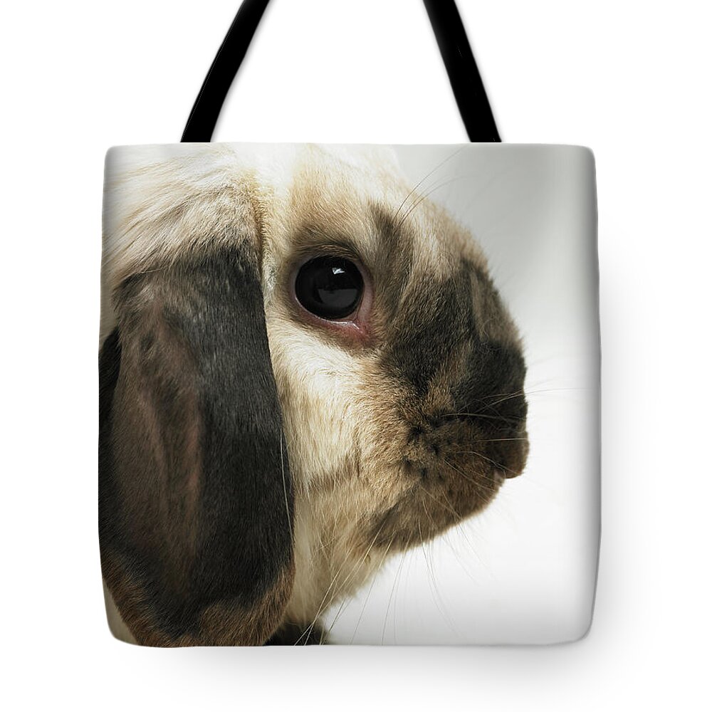 Pets Tote Bag featuring the photograph Brown And White Rabbit, Close-up by Michael Blann