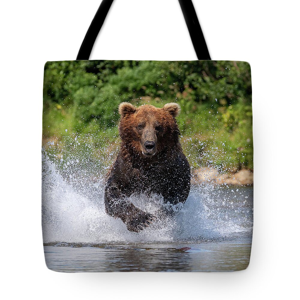 Bear Tote Bag featuring the photograph Brown Bear Charges Head On by Tony Hake