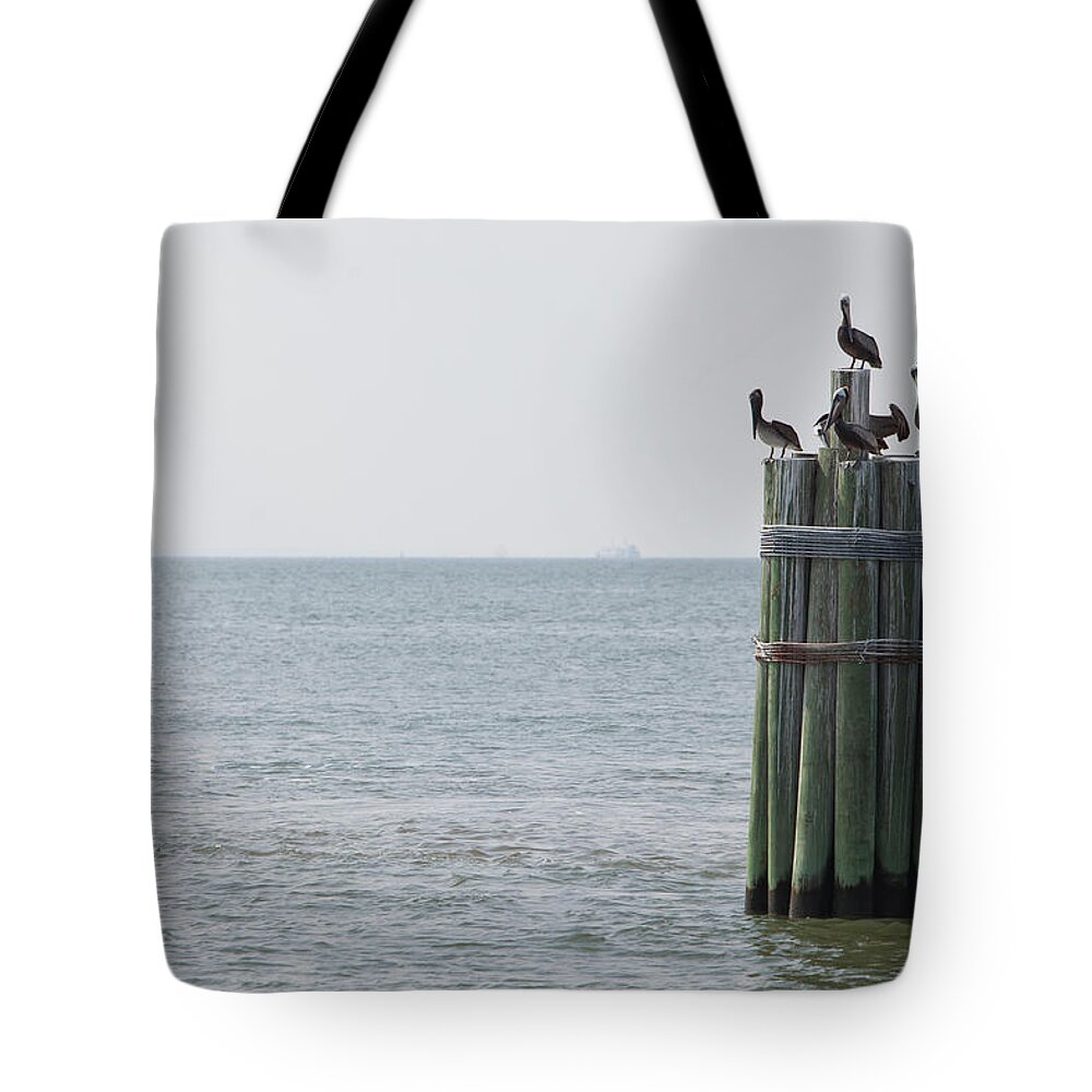 Wooden Post Tote Bag featuring the photograph Brown Pelicans Resting On Ocean Pier by Photographer Kris Krüg