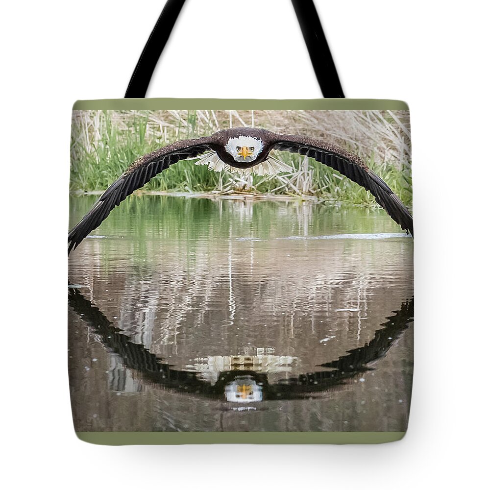 Eagle Tote Bag featuring the photograph Bruce the Bald Eagle by Steve Biro