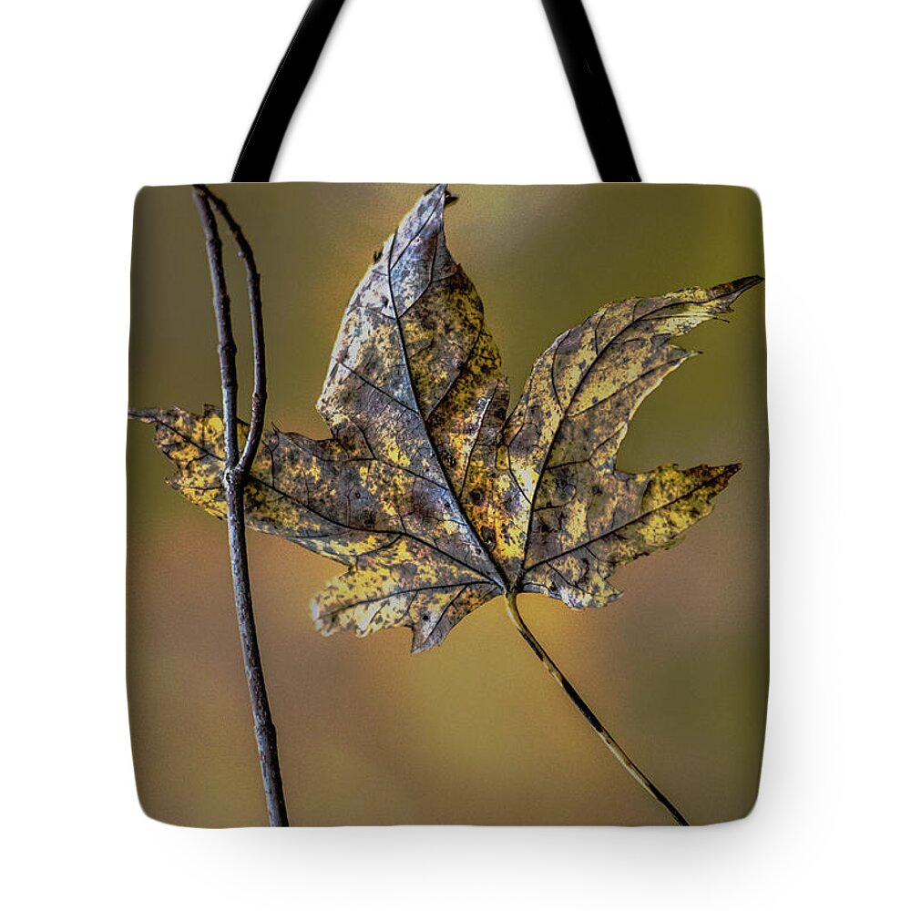 Archbold Tote Bag featuring the photograph Buddies by Michael Arend